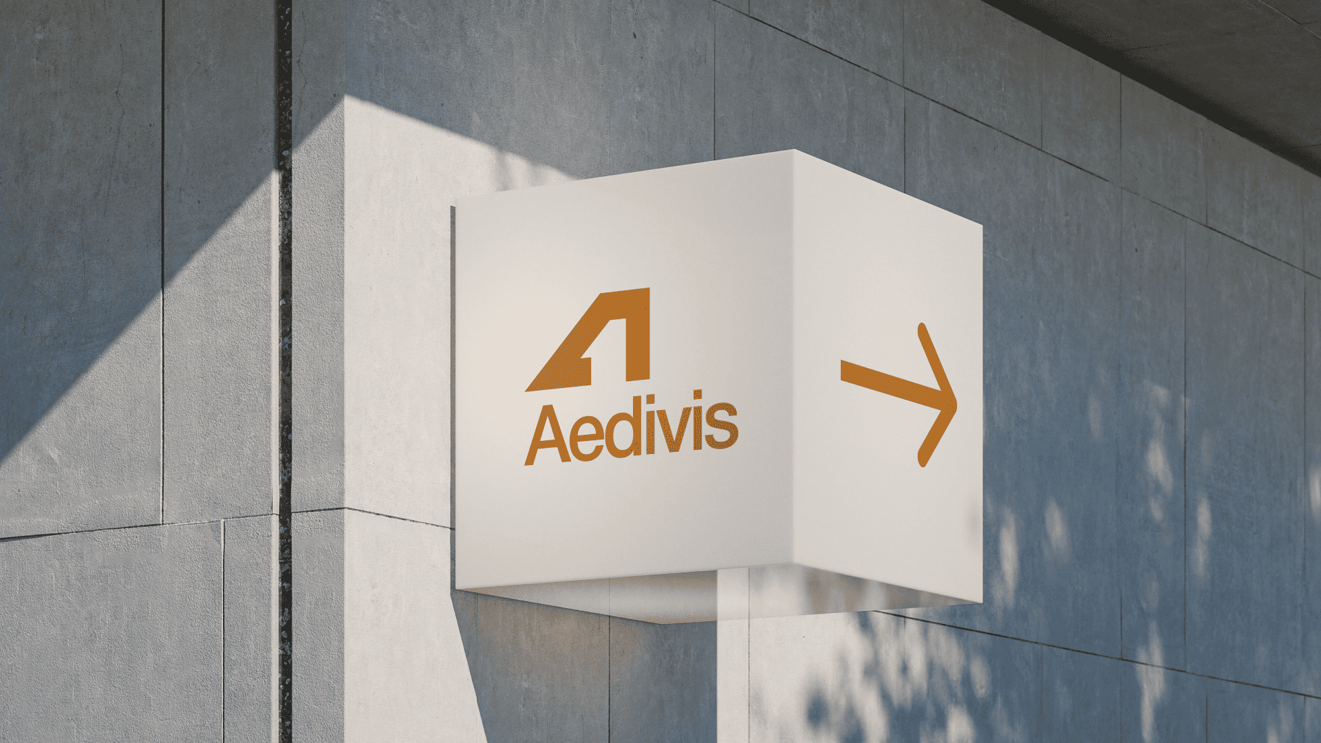 Aedivis gallery image 28