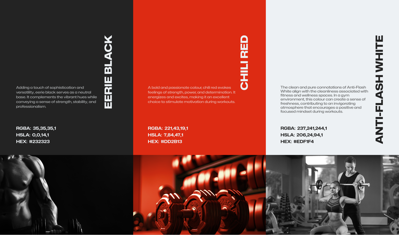 GymFlex gallery image 3