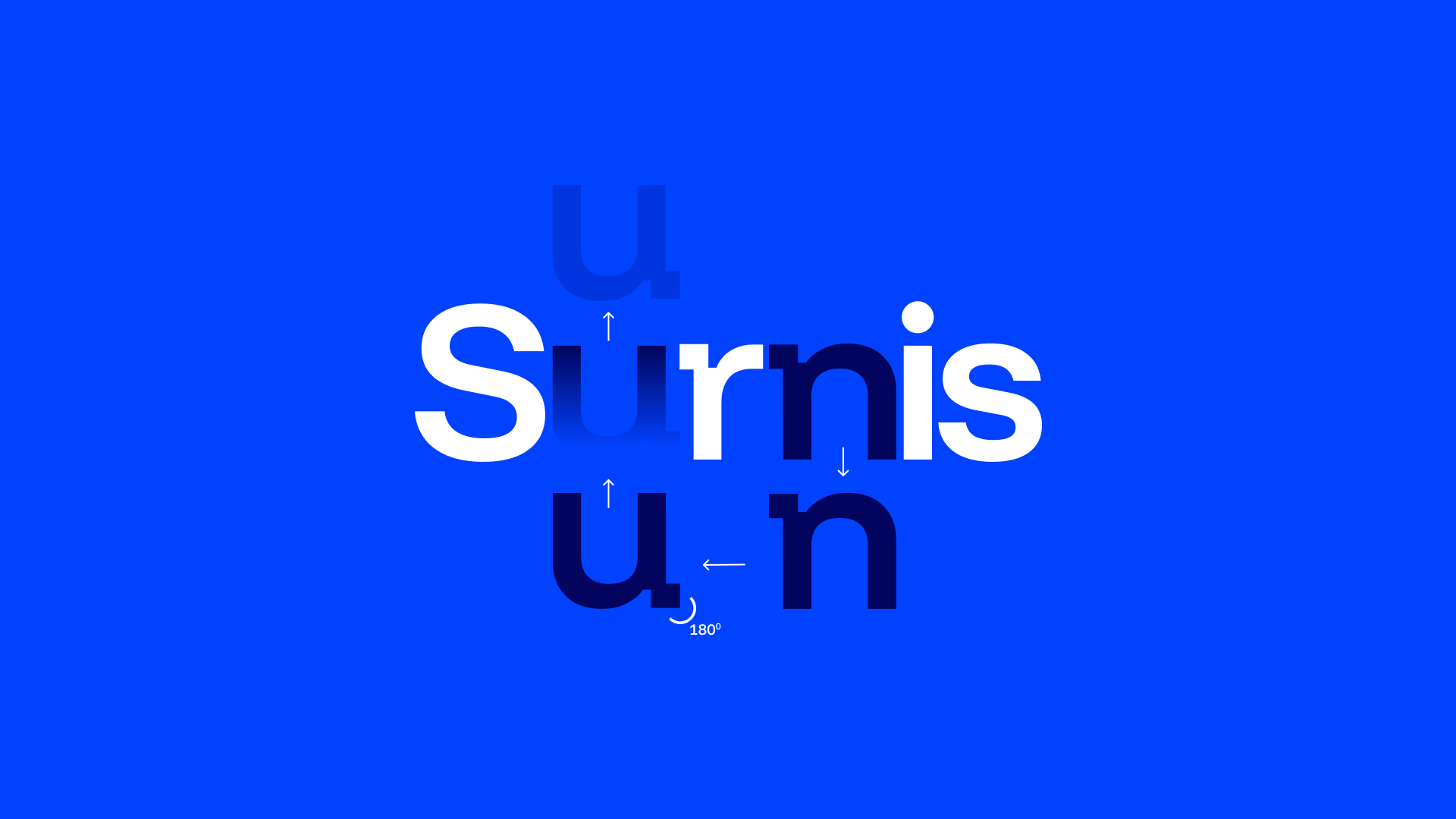 Surnis gallery image 11