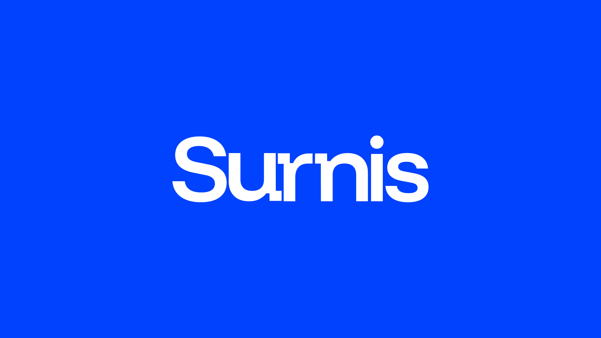 Surnis gallery image 12